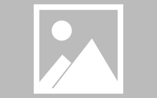 姜堰网页设计英文默认字体（网页设置英文转换中文）